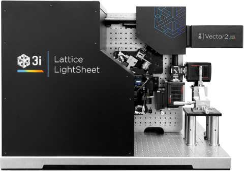 Lattice Light Sheet Microscopy Facility