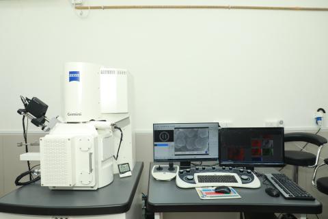 Field Emission Gun-Scanning Electron Microscope (FEG-SEM) 