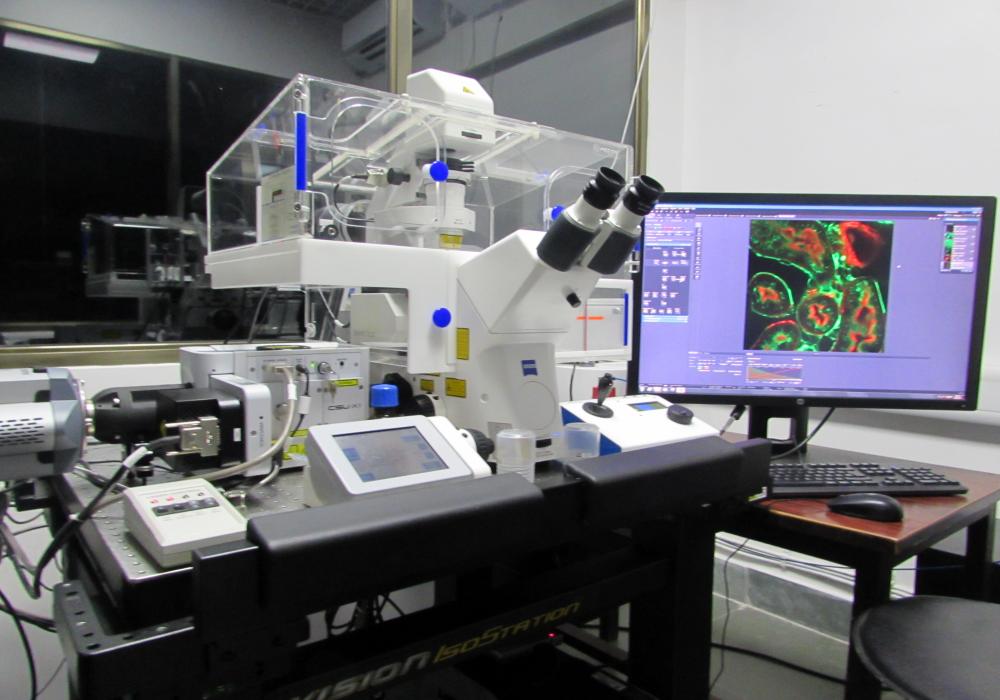 Spinning disc confocal microscope facility