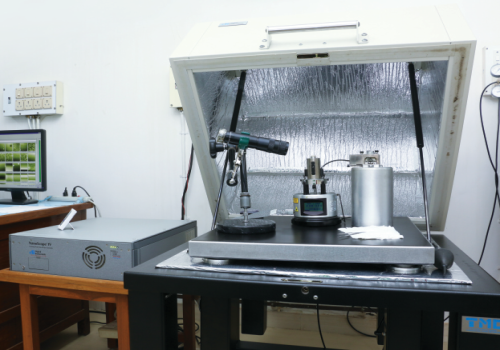 Scanning probe microscope facility - II