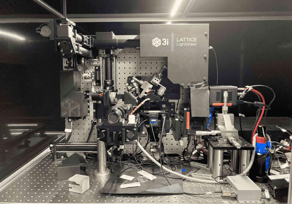 Lattice Light Sheet Microscopy Facility