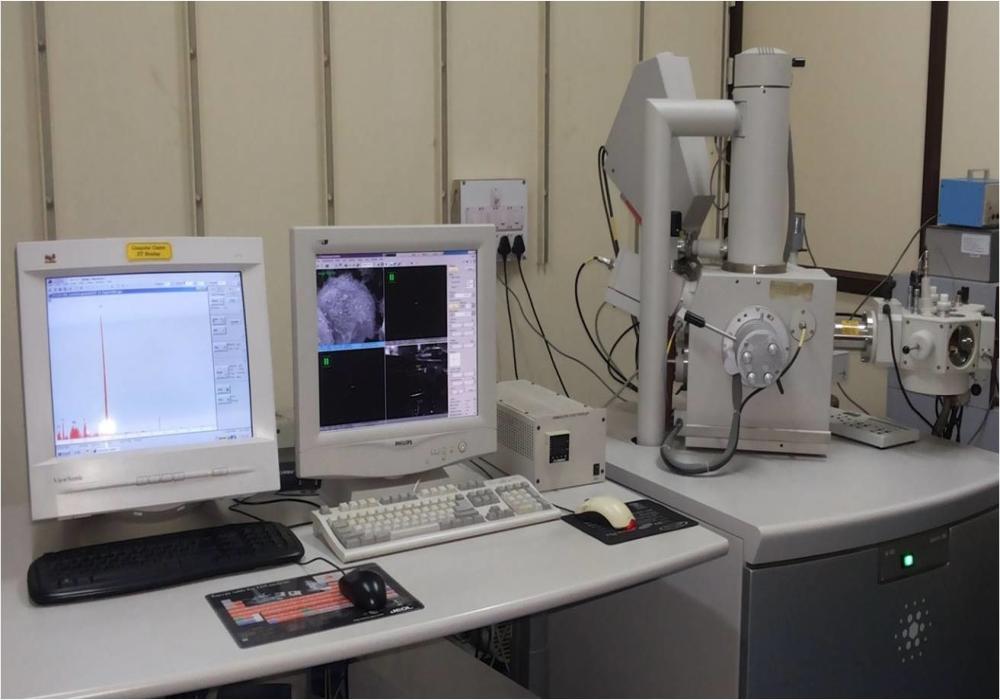 Environmental Scanning Electron Microscope facility