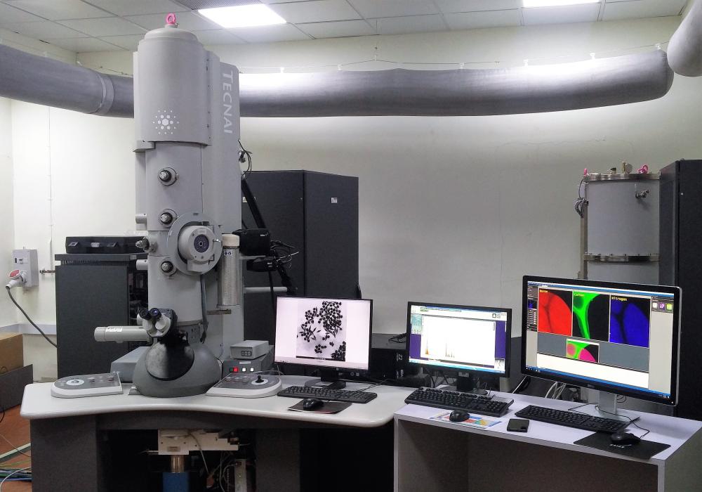 Field Emission Gun-Transmission Electron Microscope 300kV with STEM , EDS and EELS (FEG-TEM 300kV)